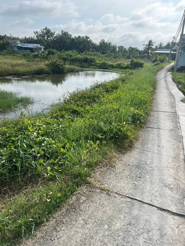 Bán Gấp 3000m² Đất Lúa Sổ Đỏ Tại Bình Chánh - Hướng Đông