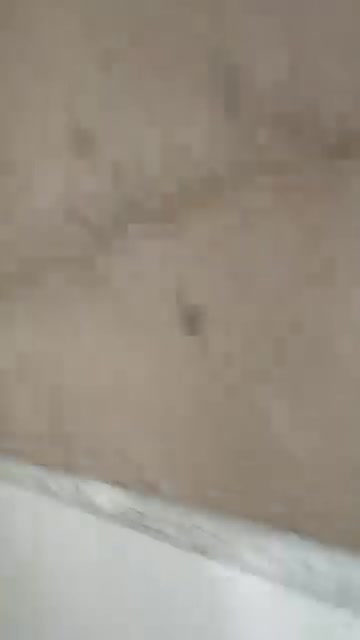 Cho thuê nhà 1PN, 2 triệu/tháng, hẻm 5m Kênh Trung Ương, Bình Chánh