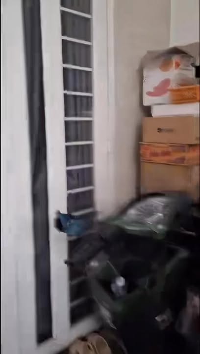 Nhà riêng Bửu Hòa 67m² từ 2.6 tỷ - Thiết kế hiện đại, sẵn sàng ở!