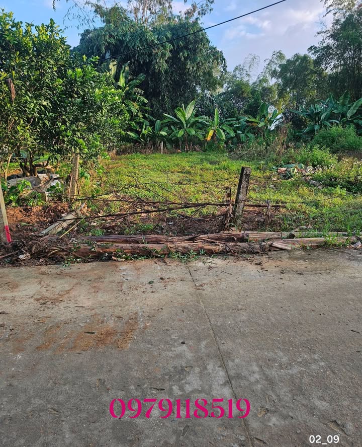 Đất nền Duy Xuyên 125m² giá 600 triệu - Sổ đỏ chính chủ!