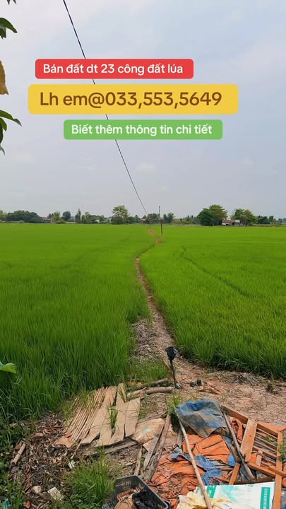 Đất Vườn Tuyên Bình, Vĩnh Hưng 2.3ha - View kênh lớn, tiềm năng