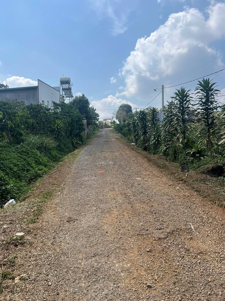 Đất nền Di Linh, Lâm Đồng 924m² - Sổ đỏ chính chủ, tiềm năng tăng giá!