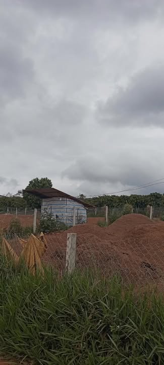 Bán Đất Nền Thôn 7 Tân Châu, Di Linh - 450m² Giá 850 Triệu, Pháp Lý Rõ Ràng