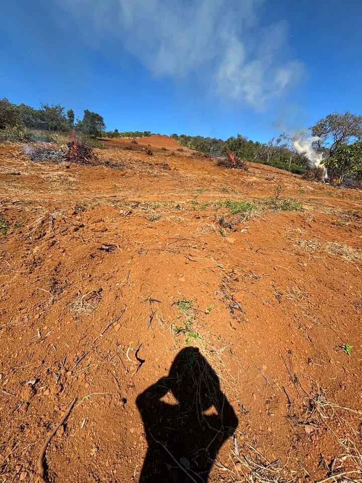 Bán Gấp Đất 8000m² Sổ Đỏ Tại Phường 12, Quận 6 - Giá 1.35 Tỷ