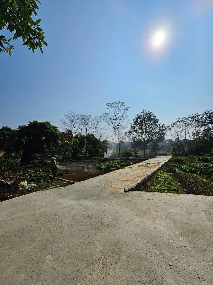 Bán đất 85m² sau Trường Cấp 3 Cao Lộc, Lạng Sơn - Giá tốt, vị trí đẹp