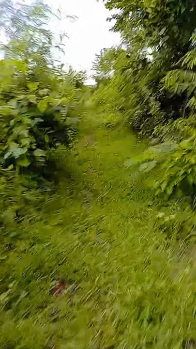 Đất Vườn Phú Yên 1500m² - Sổ Hồng Sẵn Sàng, Giá Đầu Tư 2xx Triệu