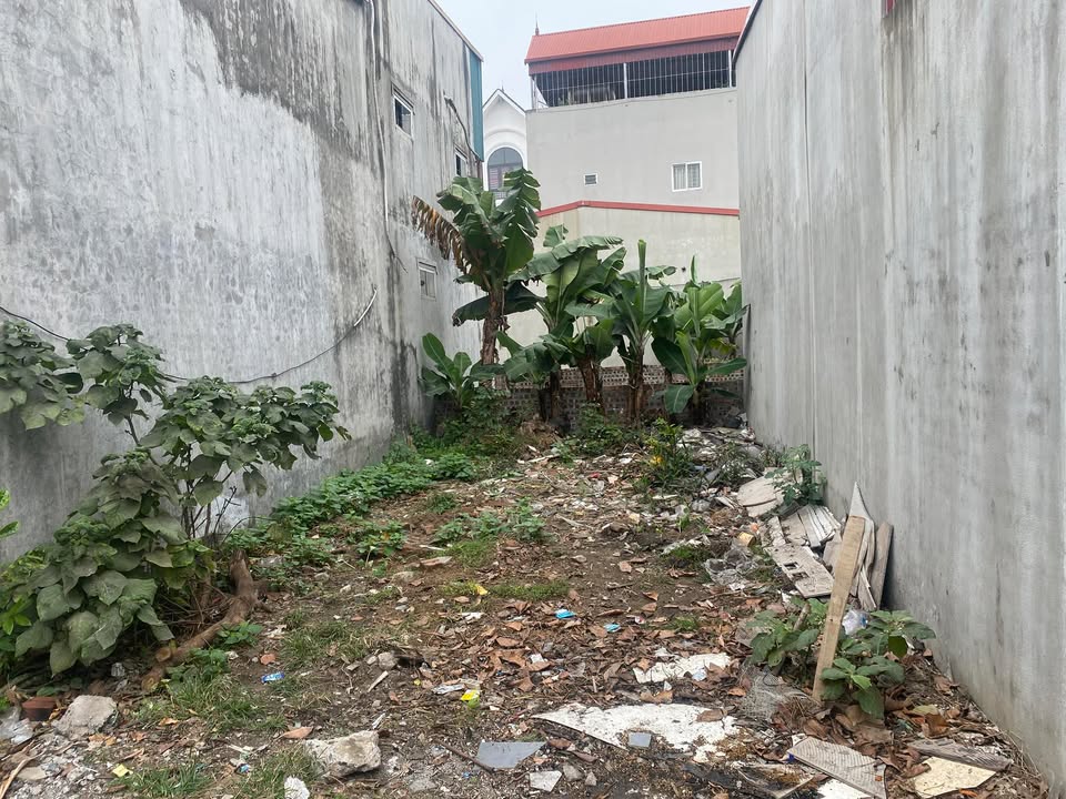 Bán Đất Kim Chung Đông Anh 85m² - Sổ Đỏ Sẵn Sàng, Gần KCN Thăng Long