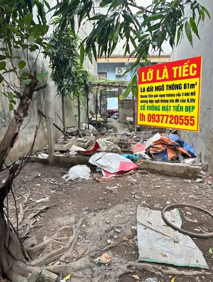 Đất nền Đại Mỗ, Nam Từ Liêm 61m² - Sổ đỏ chính chủ, ô tô vào tận nhà!