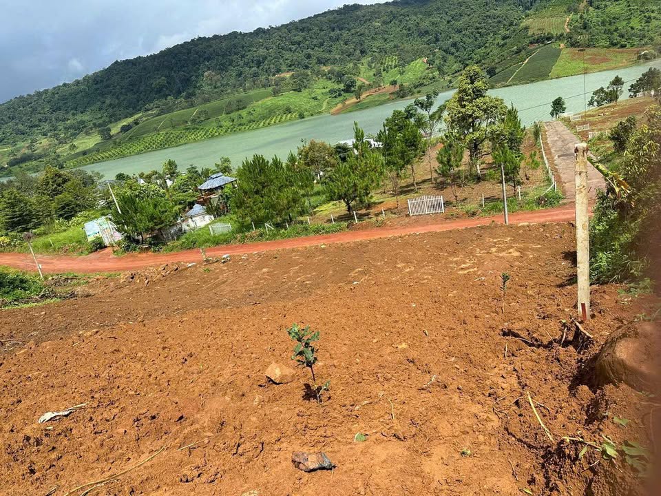 Đất Phường 1 Bảo Lộc 2.000m² giá 5,5 tỷ - Nghỉ dưỡng lý tưởng