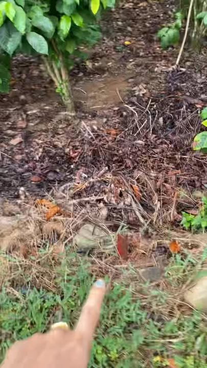 Bán đất nền mặt tiền nhựa Phú Tân 180m² - Sổ hồng riêng, giá 495 triệu