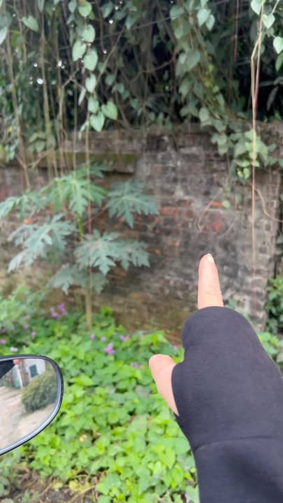 Đất nền Xuân Mai 229m² - Kinh doanh sầm uất!