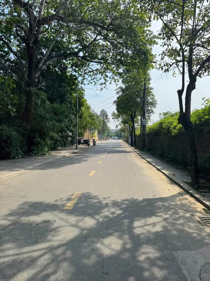 Nhà 2 Mặt Tiền Tống Duy Tân, Huế - 229m² Gần Ngọ Môn - Giá 9.x Tỷ