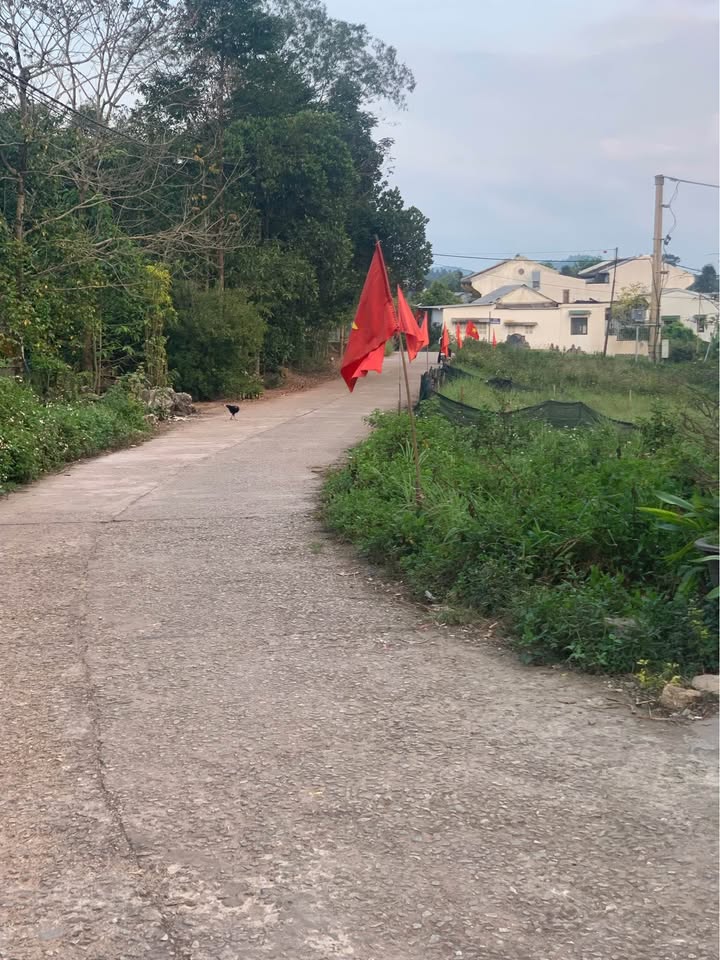 Nhà riêng Thu Bồn Huế 140m² - Full nội thất, sổ hồng sẵn!