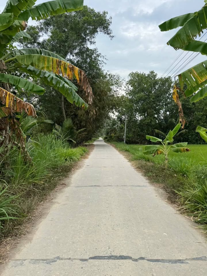 Đất Nông Nghiệp Châu Thành Trà Vinh 14000m² - Tiềm năng tăng giá!