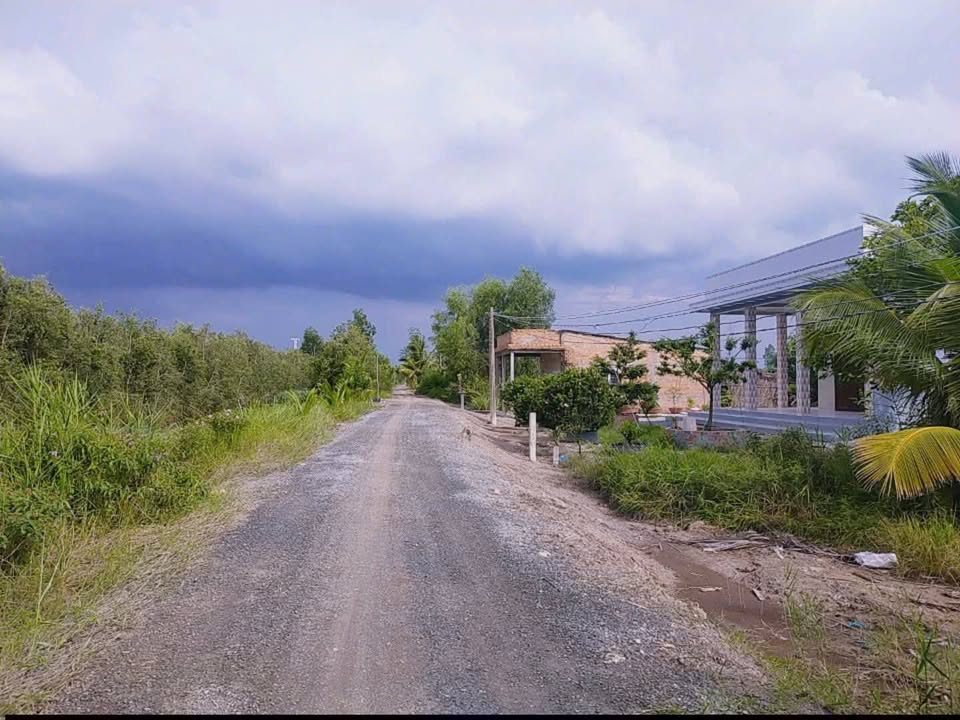 Đất vườn Lộc Hưng, Trảng Bàng 1000m² - Nghỉ dưỡng lý tưởng!