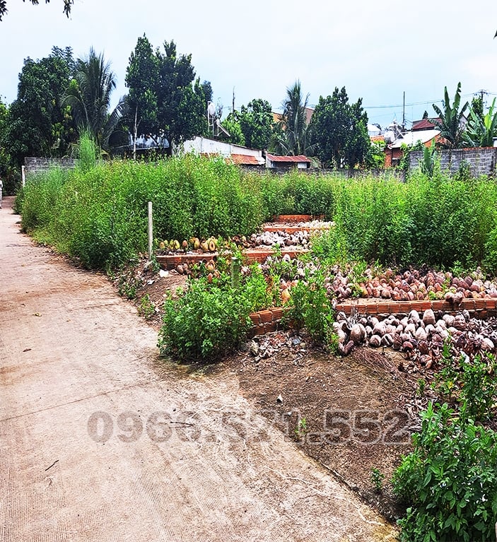 Đất Nền Long Khánh 205m² (Nở Hậu) Sổ Hồng Riêng, Gần Chợ Bầu Cối