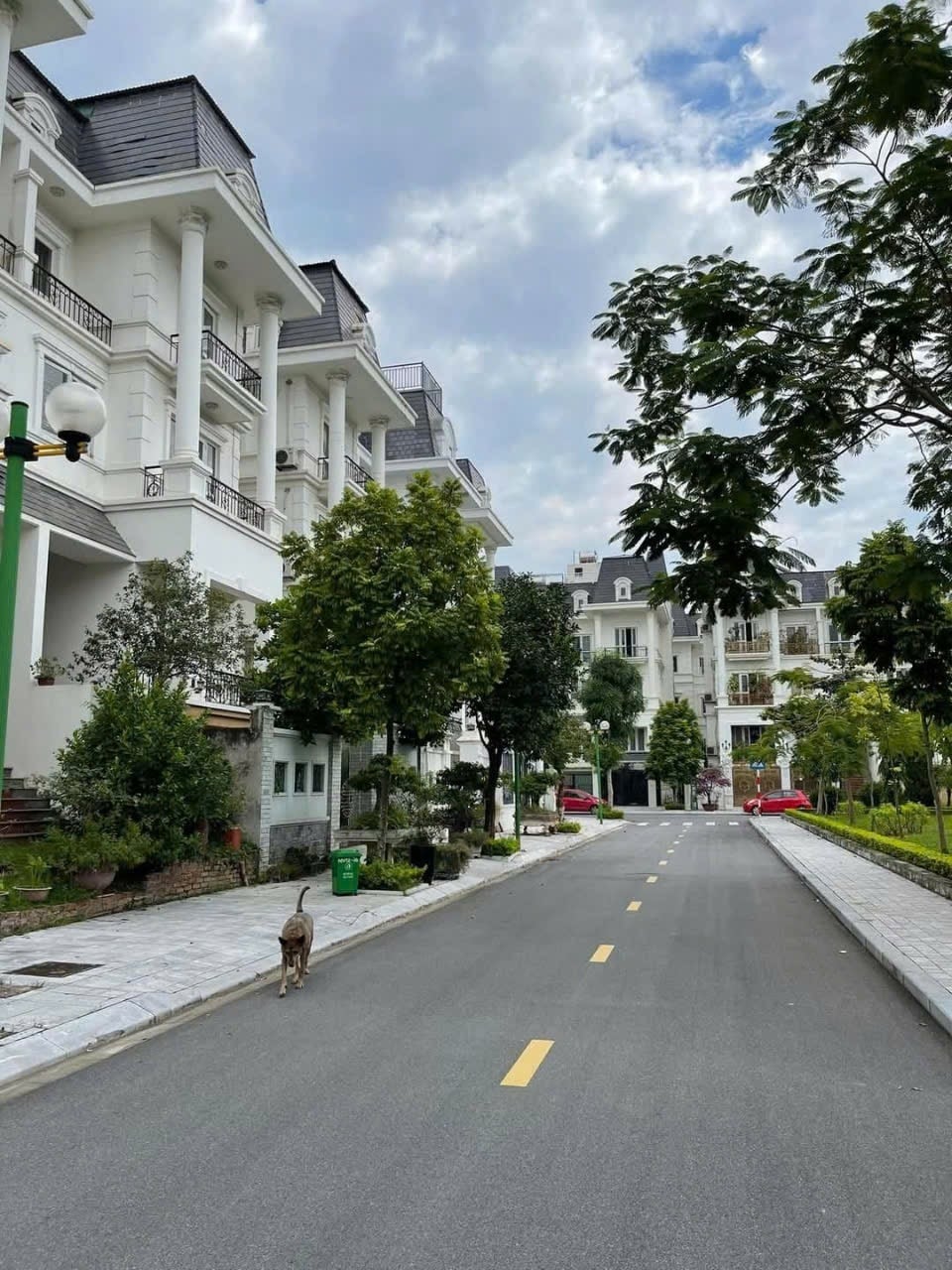 Biệt thự song lập Lideco Hoài Đức 142m² - Ô tô tránh, hướng ĐN