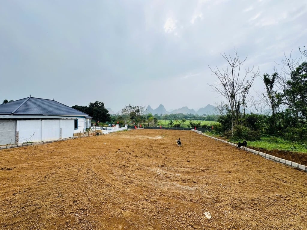 Đất vườn Lương Sơn 641m² giá 3 tỷ - Nghỉ dưỡng lý tưởng!