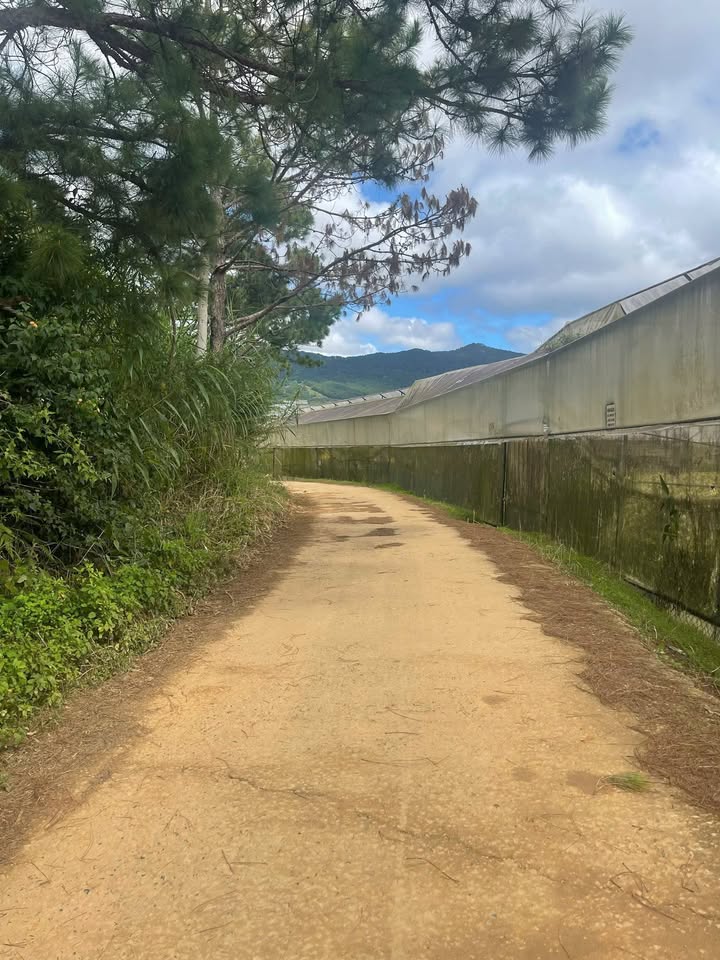 Đất Vườn Lạc Dương 2167m² Sổ Riêng - Giá Đầu Tư 7.5 Tỷ