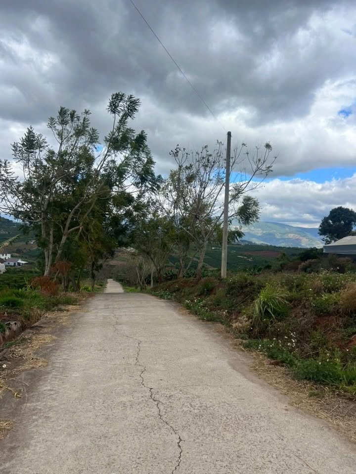 Bán Đất Lâm Hà 1119m² Thổ Cư - View 360° Săn Mây Cực Chill