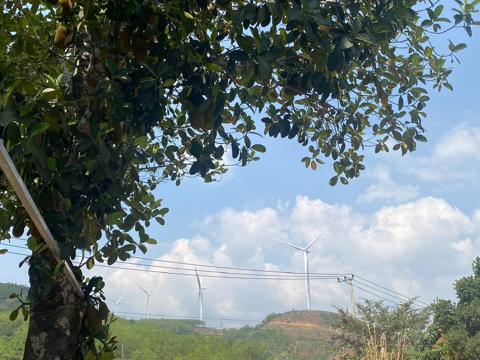 Cho thuê nhà 4PN đường ô tô, Quế Võ, Bắc Ninh - Sẵn đồ, giá 15 triệu/tháng