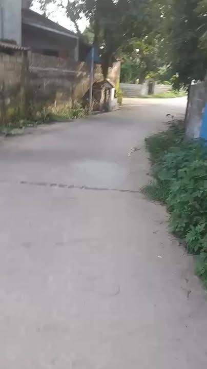 Đất nền Thụy Lôi, Hưng Yên 310m² – Sổ đỏ chính chủ, hai mặt tiền!