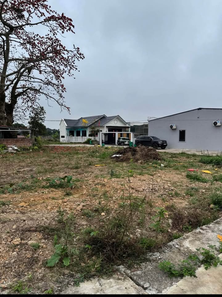 Đất Nền Phố Gốc Gạo, Móng Cái - 85m² & 168m² - Sổ Hồng Sẵn Sàng