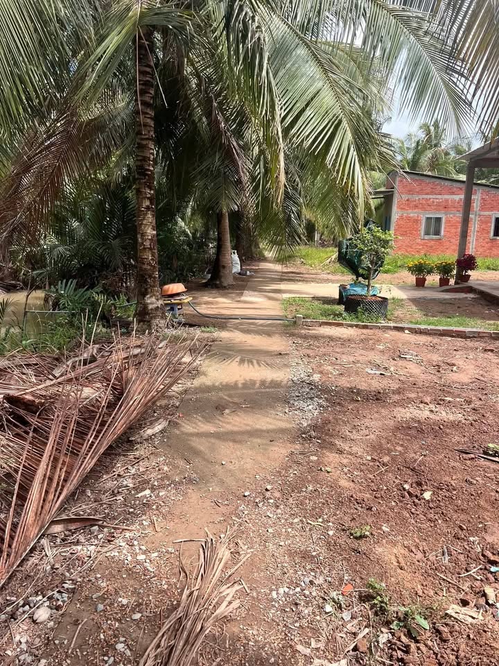 Đất vườn Xã Châu Hưng 1200m² - Sổ hồng rõ ràng