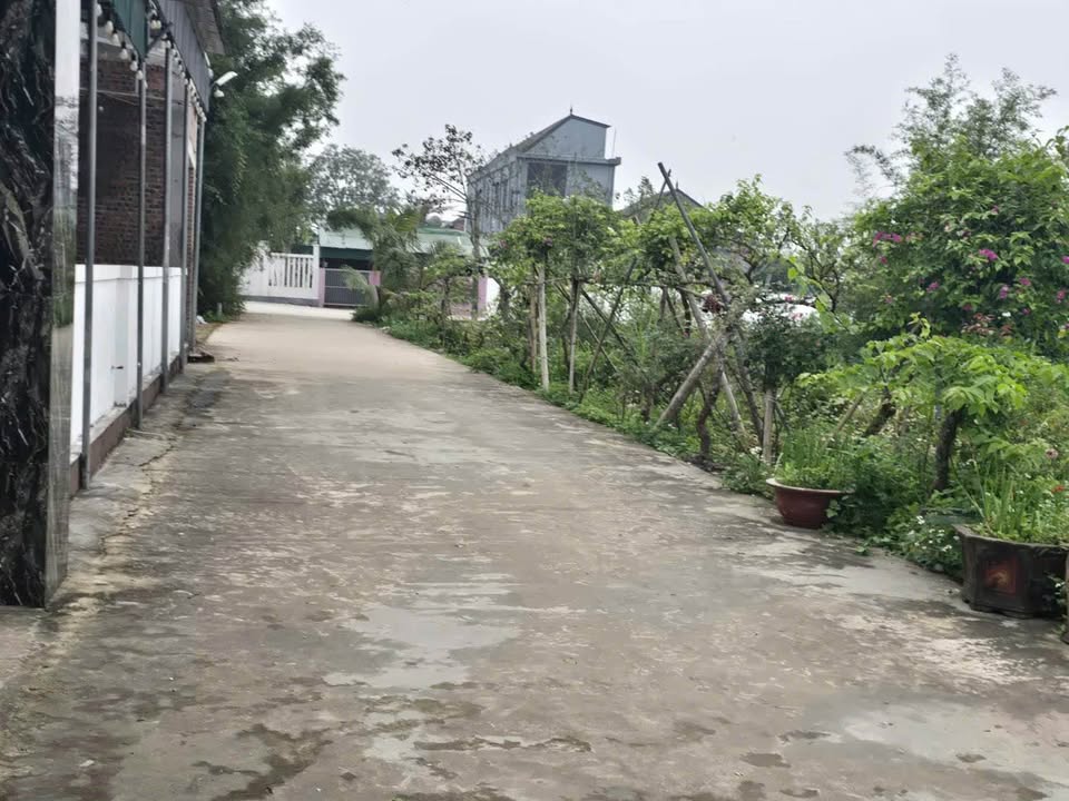 Đất nền Nghi Trung 100m² giá 1.3 tỷ - Tiềm năng tăng giá vượt trội!