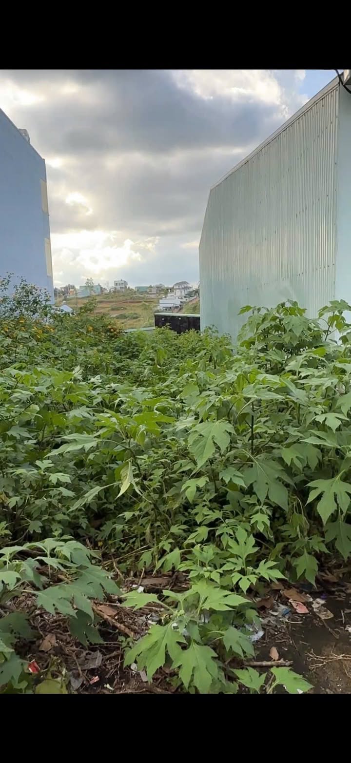 Đất nền An Khê 150m² - Tiềm năng tăng giá!