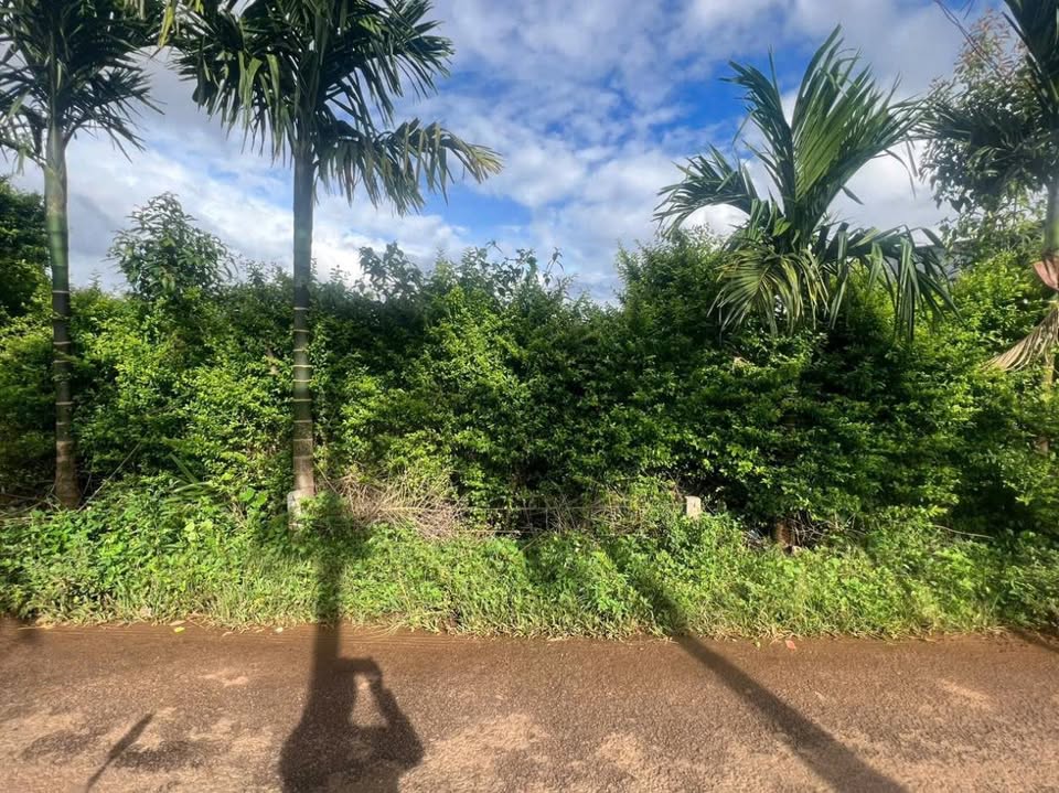 Đất Biển Hồ Pleiku 215m² - Đất thổ cư 100%, đường ô tô tránh!