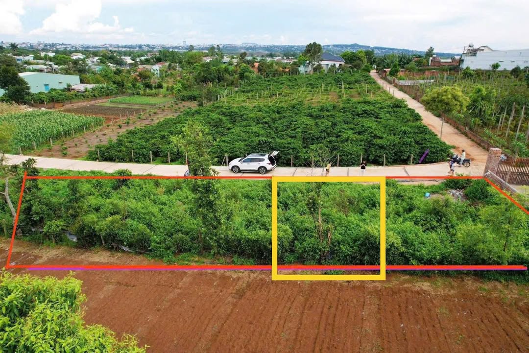 Bán Đất Nền 99m² Phường Thống Nhất, Pleiku - Lô Nở Hậu, Hướng Nam Giá Tốt
