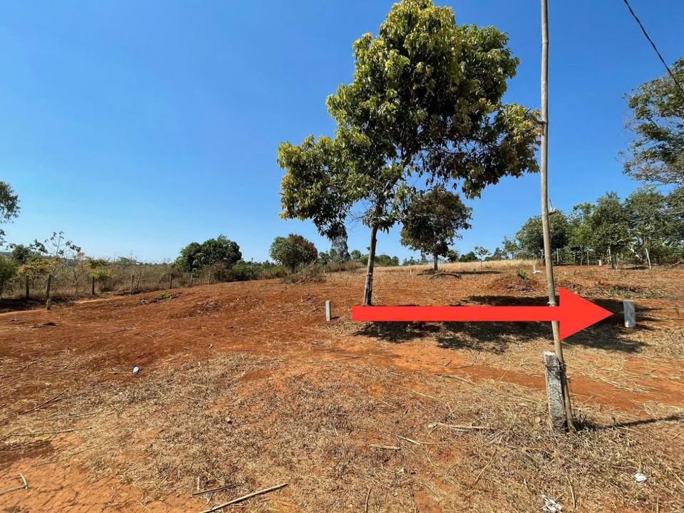 Đất Nền Làng Breng - Đức Cơ: 115m² Thổ Cư, Hẻm Oto, Sát Đồi Thông