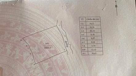 Đất nền Hương Sơn, Lạng Giang 1868m² - Sổ đỏ sẵn sàng, đầu tư sinh lời!