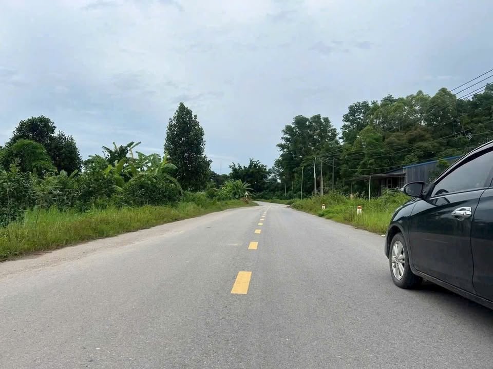 Đất nền Lục Nam, Bắc Giang - 360m² mặt đường Liên xã, giá 1.5 tỷ, sổ đỏ