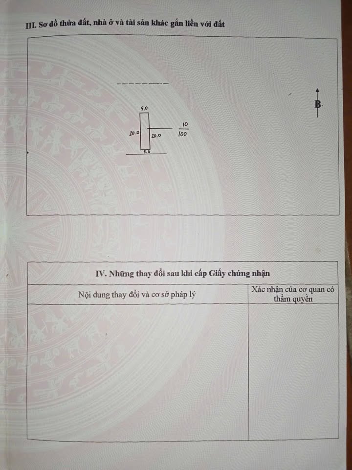 Đất nền Tam Tiến, Yên Thế 100m² - Tiềm năng tăng giá!