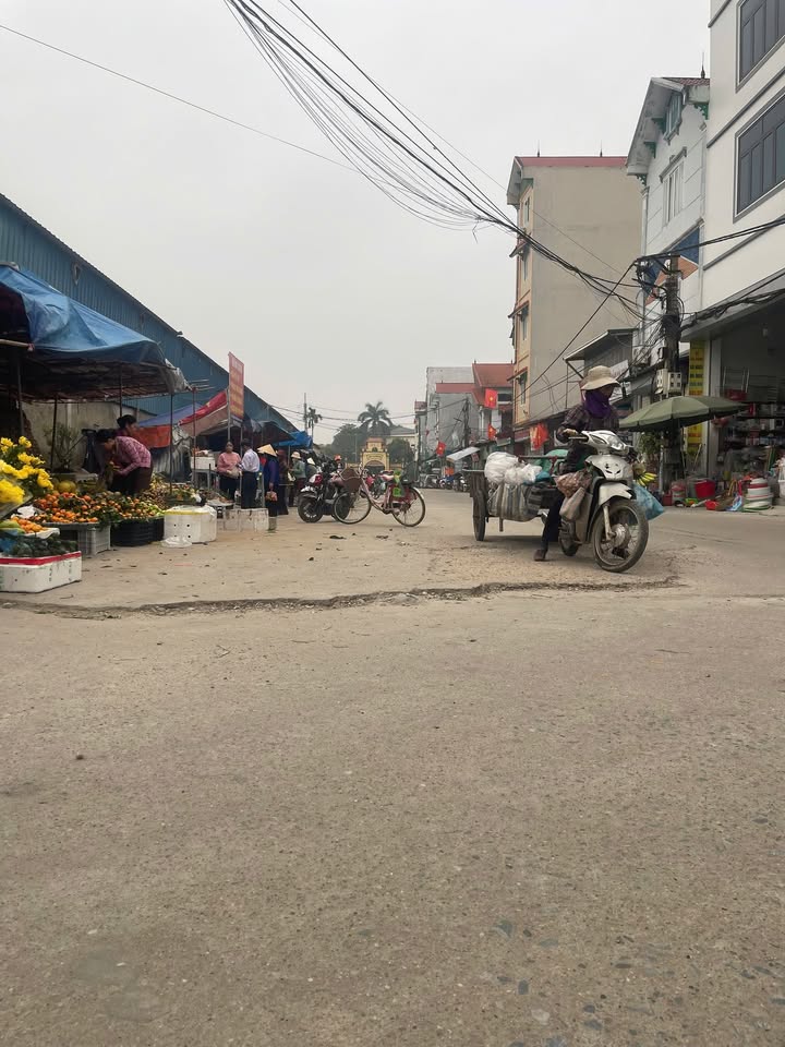 Đất nền Mê Linh 110m² - Sổ đỏ chính chủ, tiềm năng sinh lời!