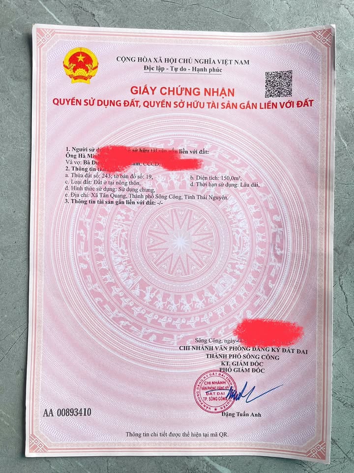 Đất Tái Định Cư Tân Thịnh - 150m² Sổ Đỏ Chính Chủ, Giá Tốt