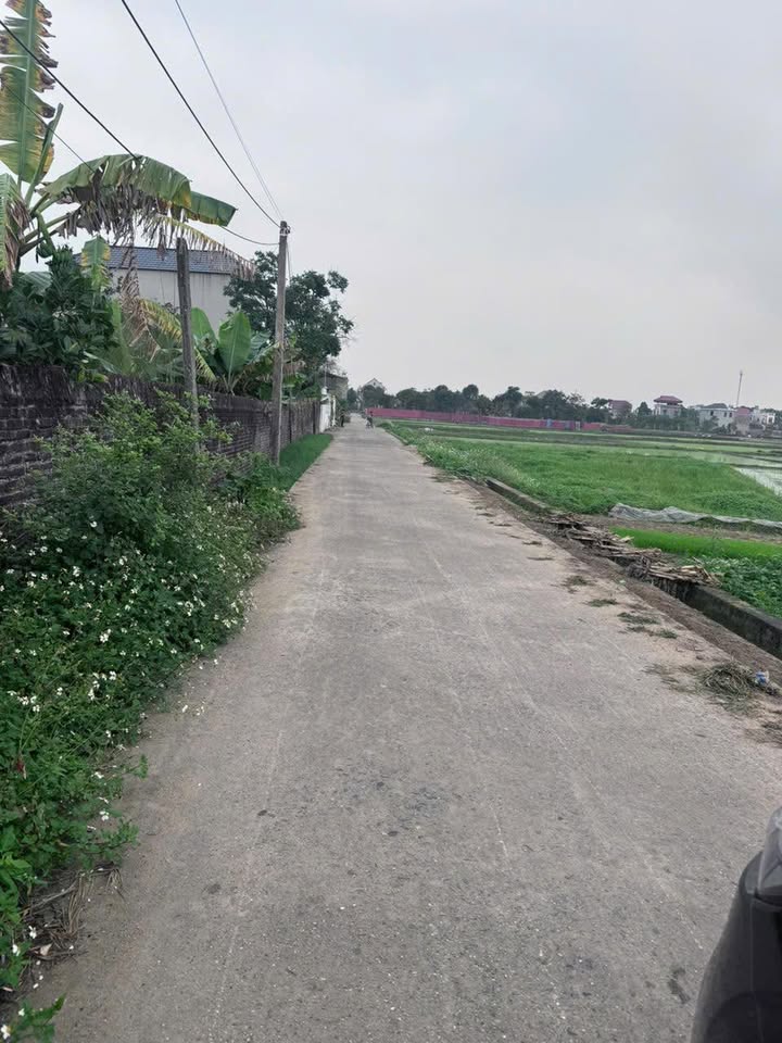 Đất Thổ Cư Hiệp Hoà 110m² - Sổ Đỏ Riêng, Giá Từ 8xx Triệu