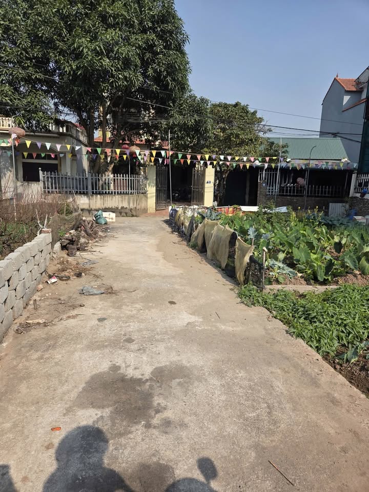 Đất nền Thư Phú Thường Tín 41m² - Đường ô tô đỗ cửa!