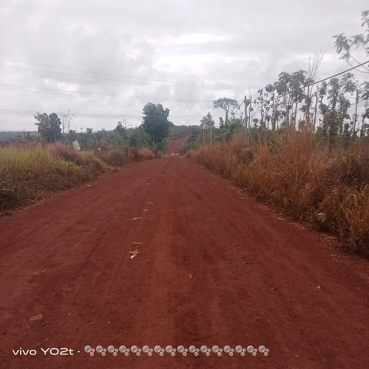 Đất nền Đắk Song 3600m² - Sổ đỏ chính chủ, tiềm năng sinh lời!