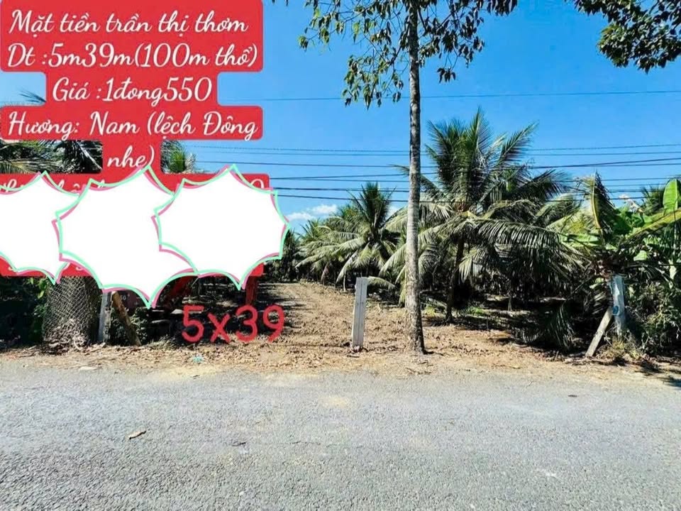 Đất Nền Mỹ Tho 195m² - Sổ Đỏ Chính Chủ, Tiềm Năng Tăng Giá!