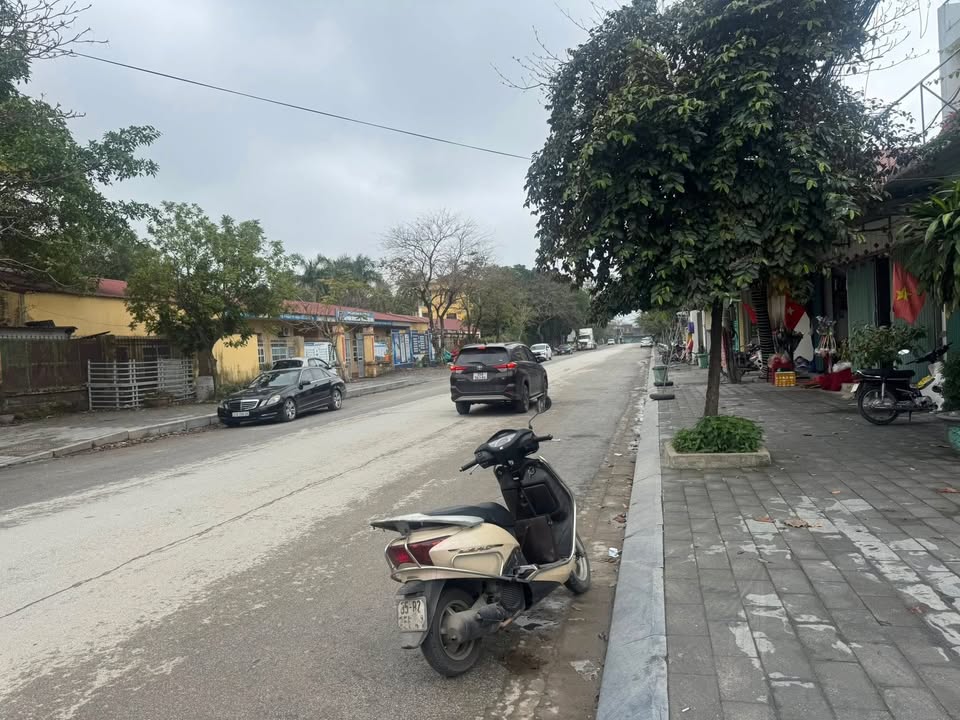 Đất Mặt Tiền Kinh Doanh Đường Xuân Thành, Ninh Bình - 95m², Sẵn Sàng Đầu Tư