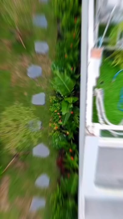 Đất nền Long Thạnh Mỹ 53m² 800 triệu - Sổ hồng riêng, sang tên ngay!