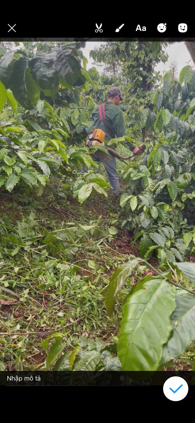 Đất nền Tuy Đức 1.4ha - Sổ đỏ chính chủ, tiềm năng lớn!