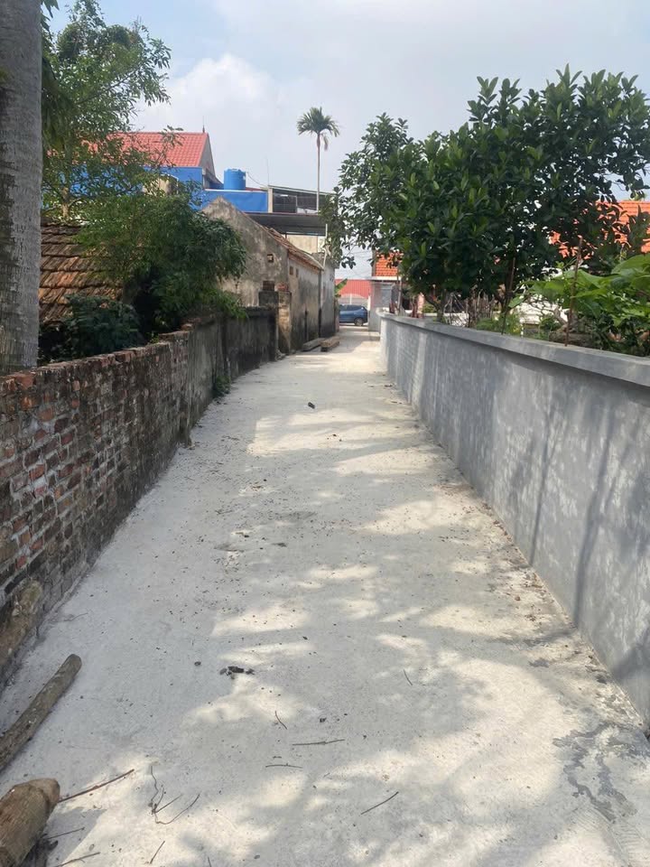 Đất nền Cụm CN Quang Phục, Hải Phòng - 600m² full thổ, tiềm năng chia lô