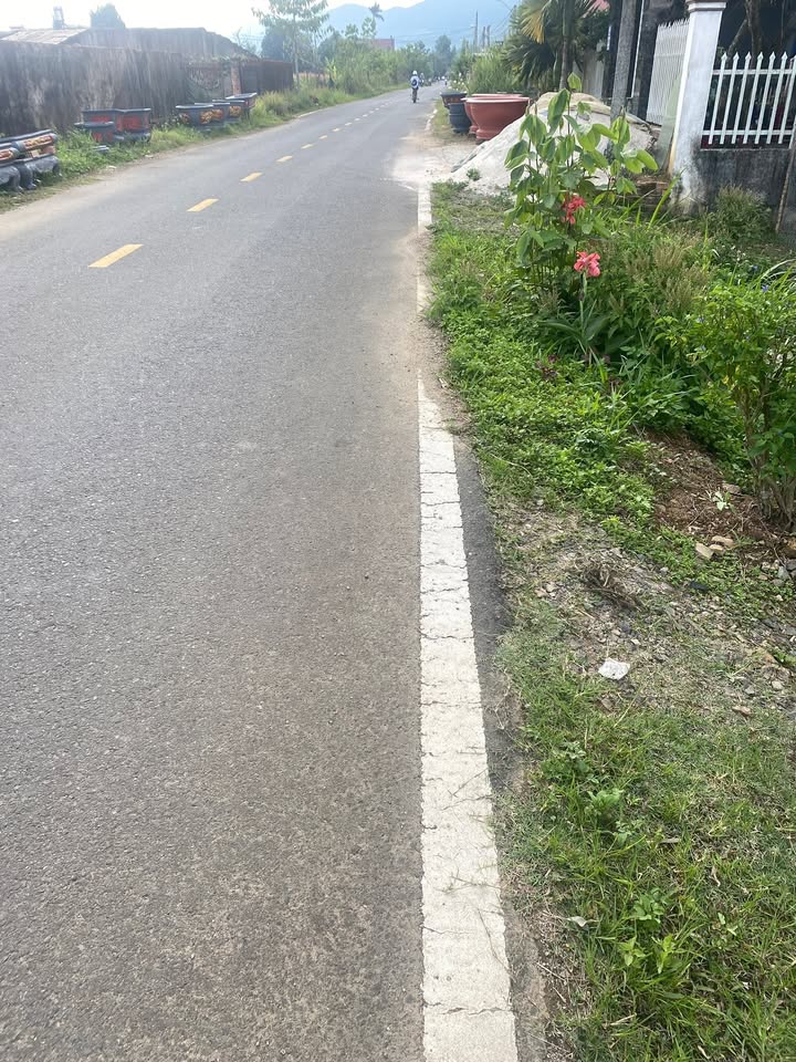 Đất nền Đinh Công Tráng Bảo Lộc 5000m² - Sổ đỏ chính chủ, đường lớn ô tô!