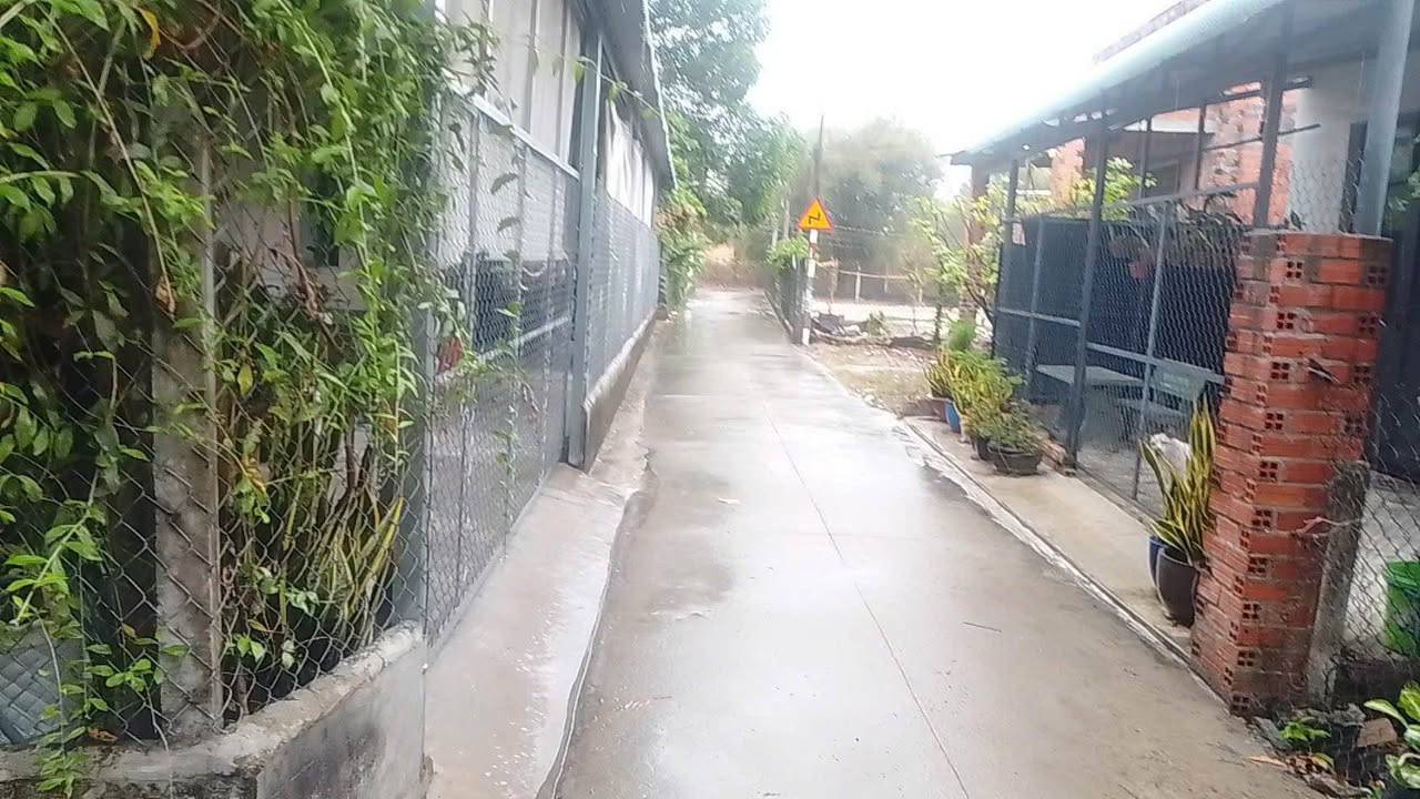 Nhà cấp 4 Dương Minh Châu 115m² giá hơn 300 triệu - Sổ hồng sẵn!