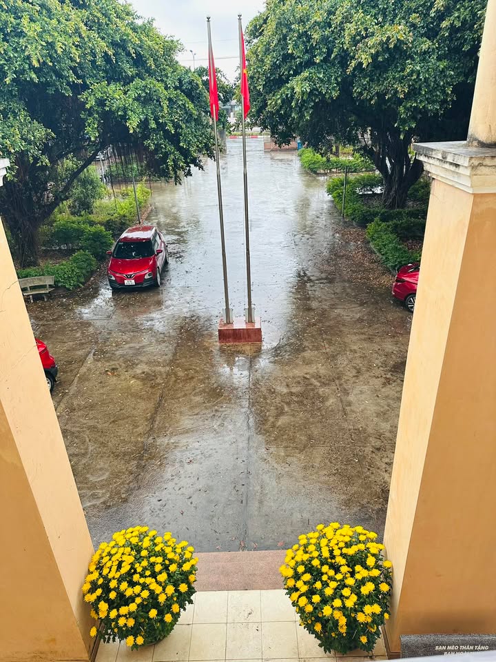 Đất nền Hẻm Trường Sơn Pleiku 232m² - Sổ đỏ chính chủ giá tốt