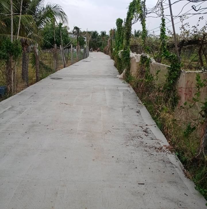 Đất nền Huyện Ninh Hải 110m² - Đường ô tô tiện lợi!